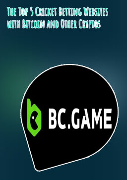 Betting sites like bc game